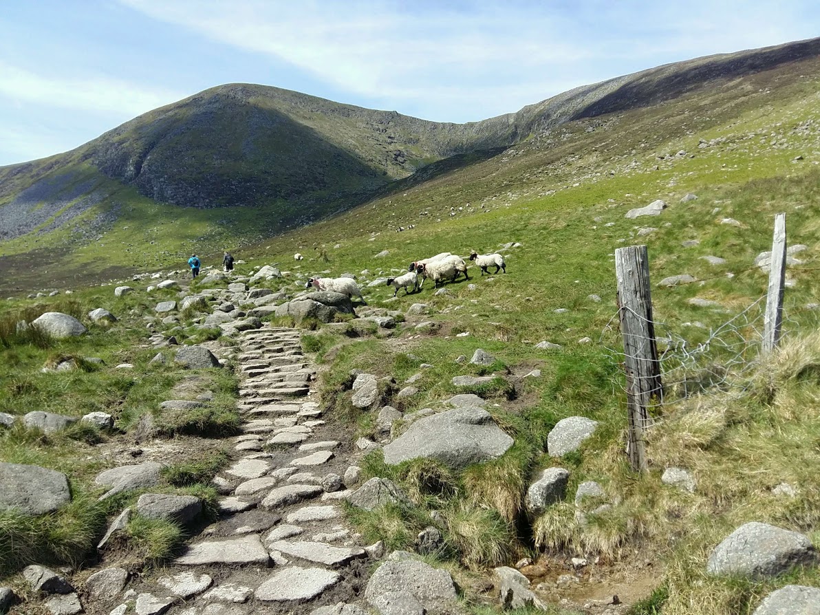 Donard Mountain in the Mournes